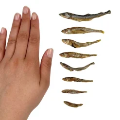 Godbidder & Smagsvarianter|Single Protein & Foder & Godbidder^Ozami Dog Snack Dried Smelt | 50g