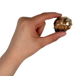 Single Protein & Foder & Godbidder|Godbidder Og Gnaveben^Ozami Dog Snack Hake Steak | 60g