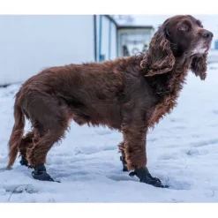 ❄️Klar Til Vintervejret|Efterårsklar^Ozami hundesko | 4 stk
