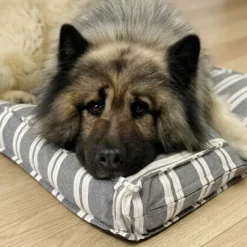Hundesenge^Ozami stribet Hundemadras
