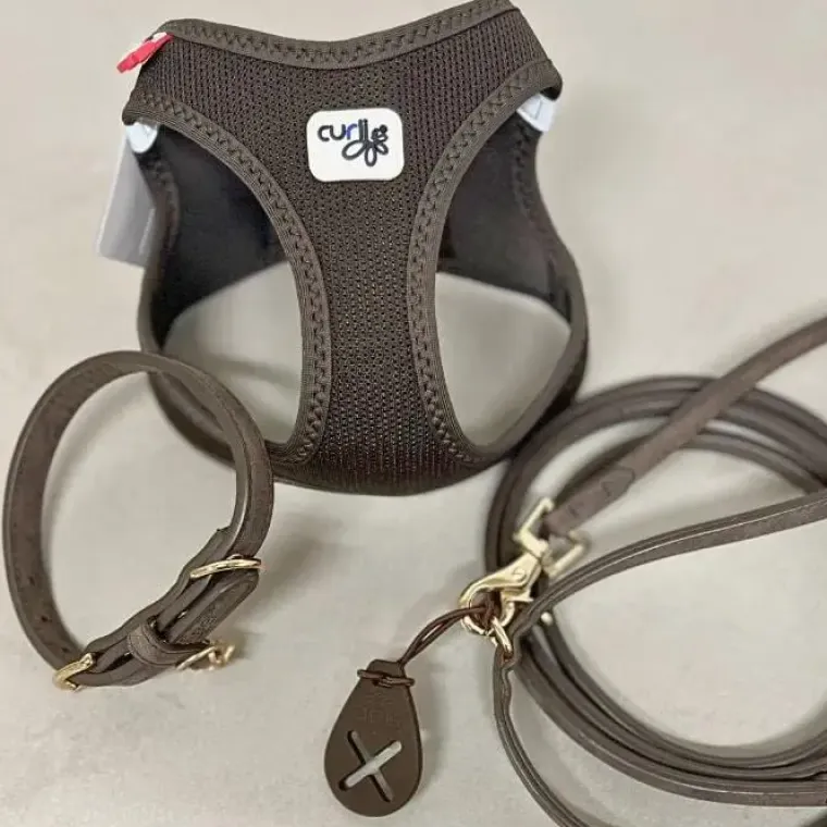 Hundeseler|Hundehalsbånd^ Pakketilbud | Gåturs kit - Mokka