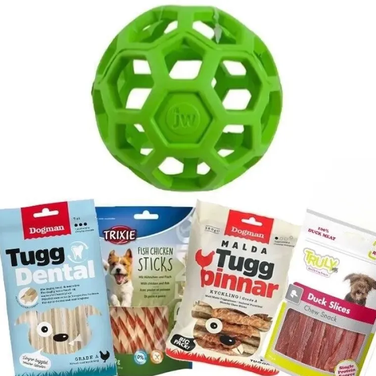 Aktivitetslegetøj Til Hunde|Bolde^ Pakketilbud | JW HOL-EE-ring| Startpakke