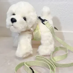Gaveidéer Til Hundeelskeren|Konfirmationsgave^ Pakketilbud | Ollie m. Sele og Hundesnor
