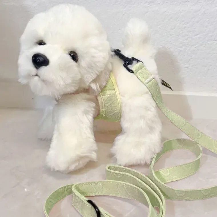Gaveidéer Til Hundeelskeren|Konfirmationsgave^ Pakketilbud | Ollie m. Sele og Hundesnor