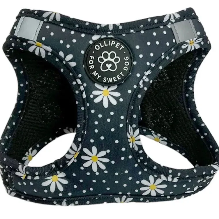 Hundeseler|Ollipet City Lux^ Pakketilbud | Ollipet City Lux sæt | Margueritter
