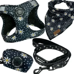 Hundeseler|Ollipet City Lux^ Pakketilbud | Ollipet City Lux sæt | Margueritter