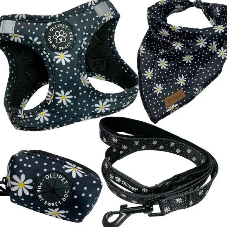Hundeseler|Ollipet City Lux^ Pakketilbud | Ollipet City Lux sæt | Margueritter