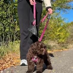 Hundeseler|Hundesnor^ Pakketilbud | Ollipet For Wagging tails sele og snor