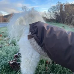 ❄️Klar Til Vintervejret|Efterårsklar^ Pakketilbud | Ollipet Mokkashield m. Camel Sweater