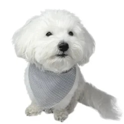 Gaveidéer Til Hundeelskeren|Til Opdrættere^ Pakketilbud | Ollipet shoppingnet og bandana m. striber