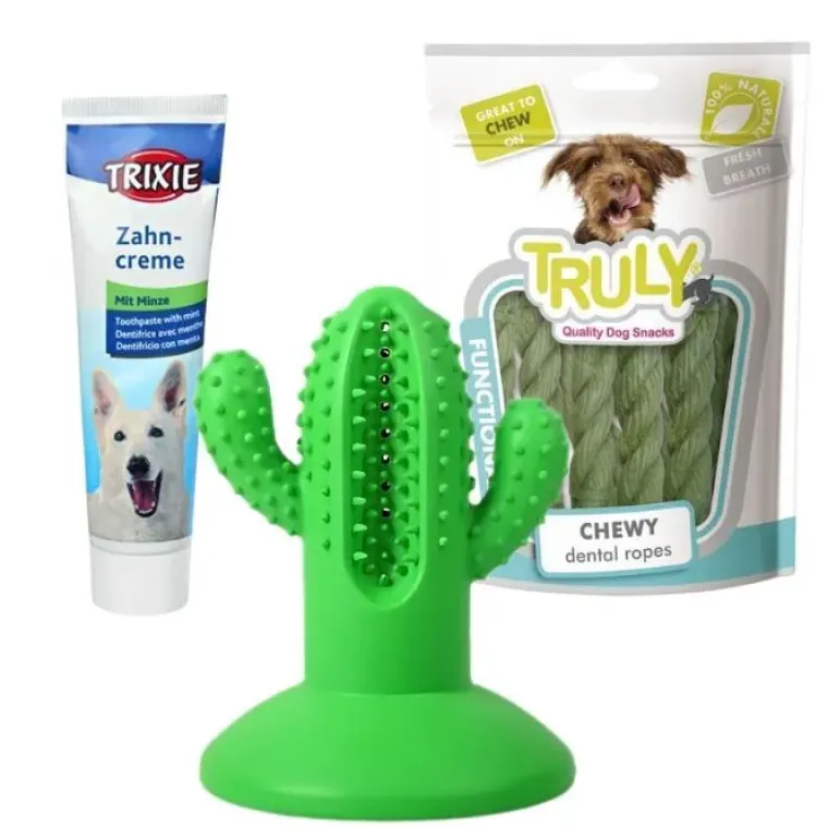 Mund-, Øre- Og Øjenpleje|All For Paws Hundelegetøj^ Pakketilbud | Ollipet Tandpleje & Tyggeleg