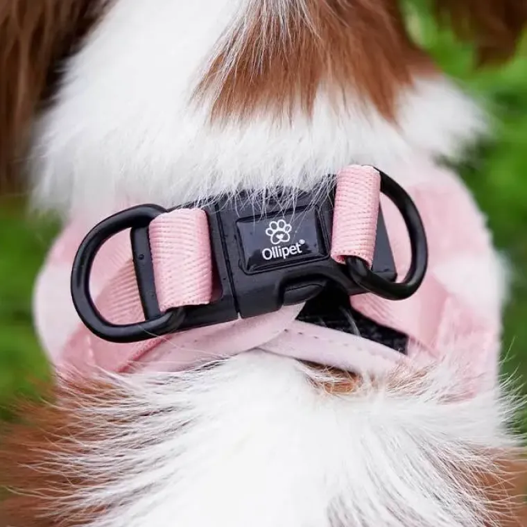 Hundeseler|Lyserøde Favoritter^ Pakketilbud | Ollipet Teddy Sæt | Lyserød
