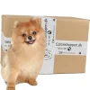 Doggy Surprise Box^ Pakketilbud | Small Breed Surprise Box