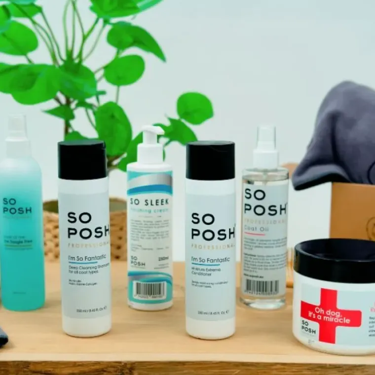 Show Grooming|Hundeshampoo Og Hundebalsam^ Pakketilbud | So Posh I'm So Fantastic Professional hundeudstilingssæt