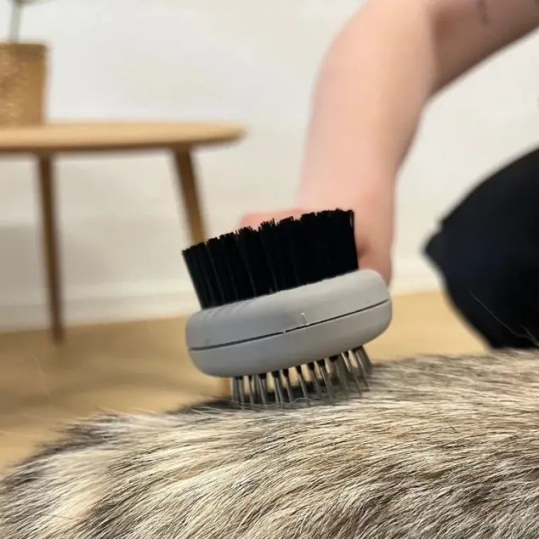 Pelspleje|Groomingsæt^Pawise Børstesæt | 3 stk