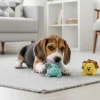Plyslegetøj Til Hunde|Hvalpelegetøj^Pawise Puppy Plyslegetøj | 1 stk