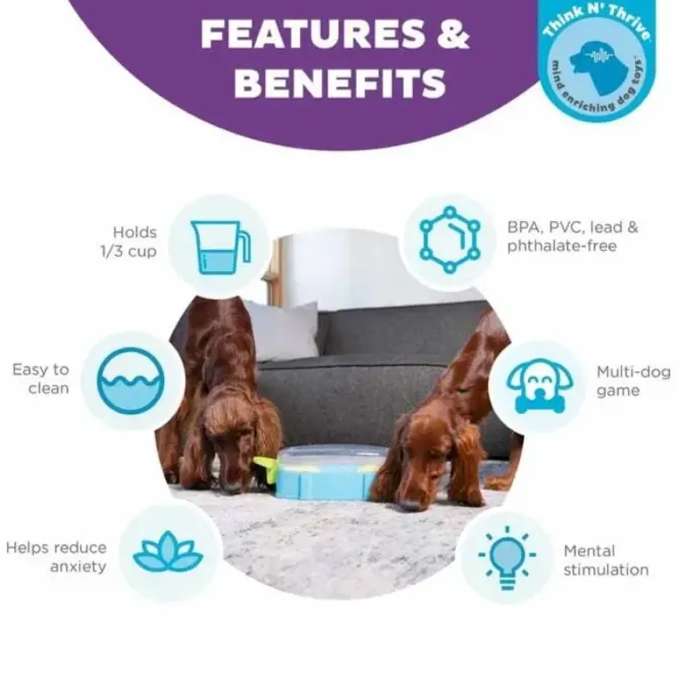 Aktivitetslegetøj Til Hunde|Snusemåtter/Slikkeplader^Outward Hound Paw N' Play Aktivitetsspil