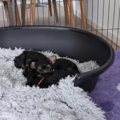 Hundesenge^Savic Plastik Hundekurv | Cosy-Air
