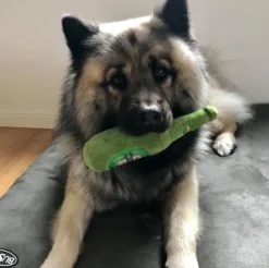 Ollipet Hundelegetøj|Plyslegetøj Til Hunde^Ollipet Plys Ølflaske