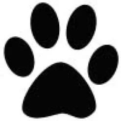 Gaveidéer Til Hundeelskeren|Artikler Til Hjemmet^Ollipet Poteklistermærker 20 stk | OUTLET