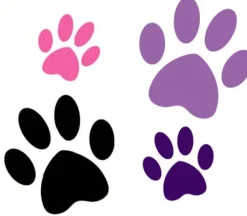 Gaveidéer Til Hundeelskeren|Artikler Til Hjemmet^Ollipet Poteklistermærker 20 stk | OUTLET