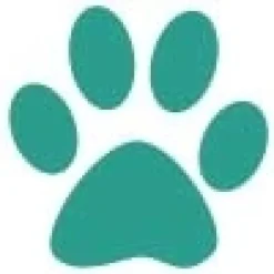 Gaveidéer Til Hundeelskeren|Artikler Til Hjemmet^Ollipet Poteklistermærker 20 stk | OUTLET