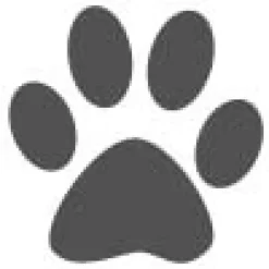 Gaveidéer Til Hundeelskeren|Artikler Til Hjemmet^Ollipet Poteklistermærker 20 stk | OUTLET