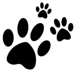 Gaveidéer Til Hundeelskeren|Artikler Til Hjemmet^Ollipet Poteklistermærker 20 stk | OUTLET