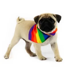 Hundetøj^Cotonshoppen Pride Hundebandana