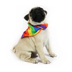 Hundetøj^Cotonshoppen Pride Hundebandana