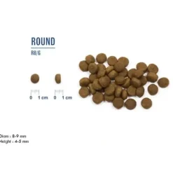 Hundemad^ProBiotic LIVE Hundefoder ProBiotic LIVE Mini Breeds Senior/Overweight | Tørfoder