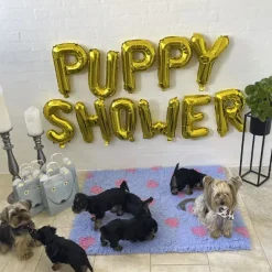 Puppy Shower Party^Ollipet Puppy Shower Ballon | OUTLET