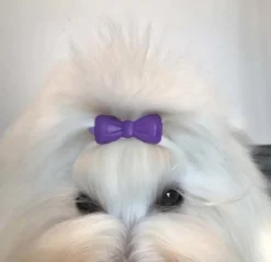 Gaveidéer Til Hundeelskeren|Bestsellers^Ollipet Rainbow Topsløjfe | Stor