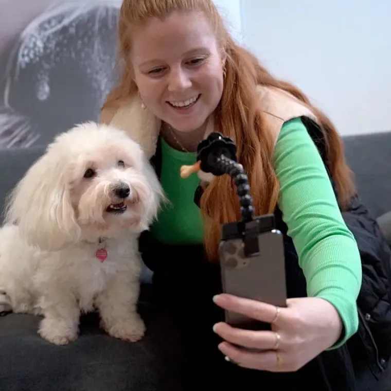 Gaveidéer Til Hundeelskeren|Nytårskurven^Cotonshoppen Selfiestang til hunde