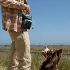 Hundetræning Og Klikker|Løbeturen^Sherpa Godbidstaske Grå/Blå