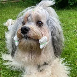 Show Grooming|Pelsplejeredskaber^Show Tech Wrapping paper | Hvid - 100 stk.