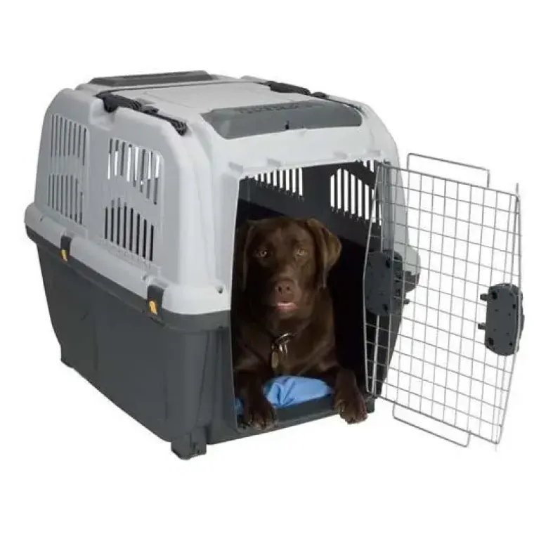 Biltransport Af Hund|Flytasker^Iata Skudo hundetransportbur