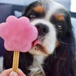 ☀️Sommerklar|Hundefødselsdag^Smoofl Hundeis Poteform