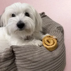 Godbidder & Smagsvarianter|Single Protein & Foder & Godbidder^Snack'it Donut Hestehud | 10 stk