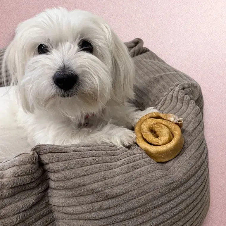 Godbidder & Smagsvarianter|Single Protein & Foder & Godbidder^Snack'it Donut Hestehud | 10 stk