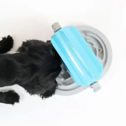 Aktivitetslegetøj Til Hunde|Madskål Og Vandskål^KBL Snack Roll Anti-Gobble