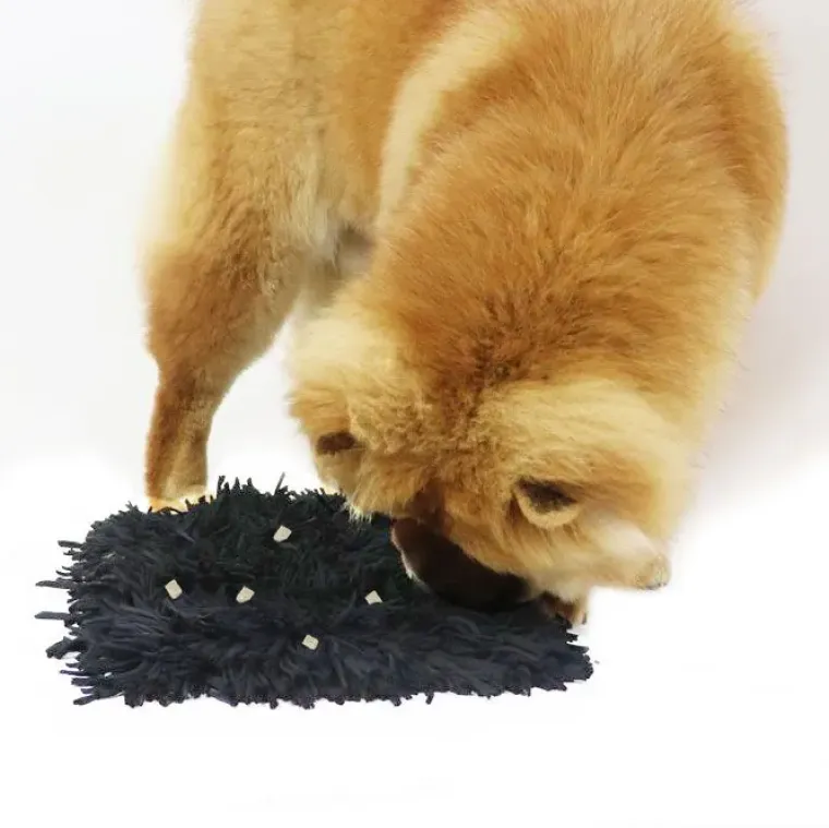 Aktivitetslegetøj Til Hunde|Ollipet Hundelegetøj^Ollipet Snufflemat Black | Snusemåtte