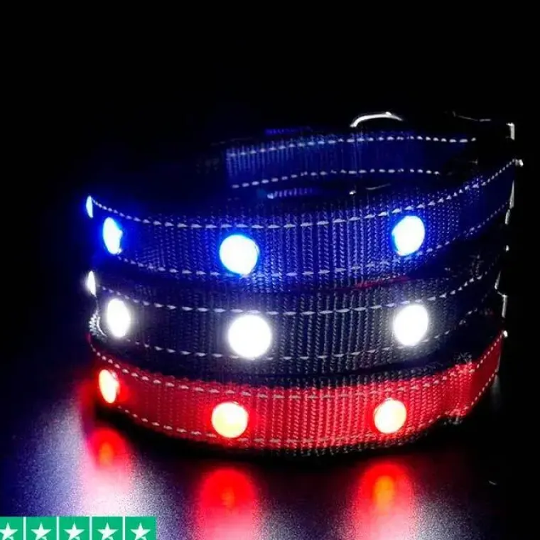 Hundehalsbånd|Løbeturen^Cotonshoppen SOLID LED-halsbånd OUTLET