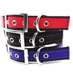 Hundehalsbånd|Løbeturen^Cotonshoppen SOLID LED-halsbånd OUTLET