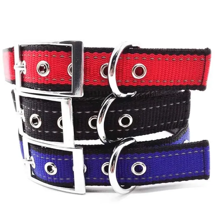 Hundehalsbånd|Løbeturen^Cotonshoppen SOLID LED-halsbånd OUTLET