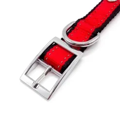 Hundehalsbånd|Løbeturen^Cotonshoppen SOLID LED-halsbånd OUTLET