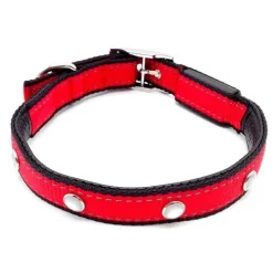 Hundehalsbånd|Løbeturen^Cotonshoppen SOLID LED-halsbånd OUTLET