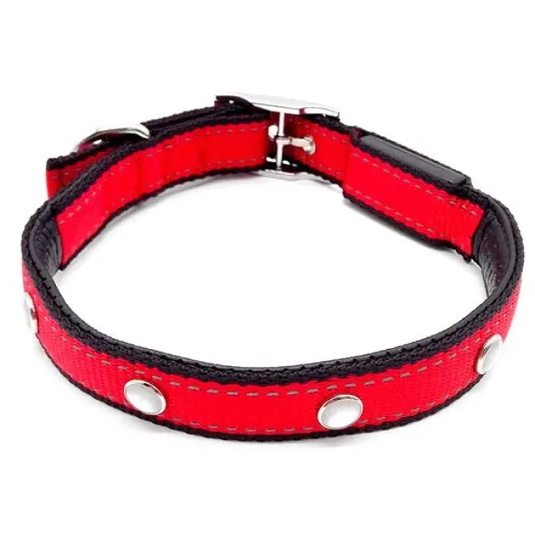 Hundehalsbånd|Løbeturen^Cotonshoppen SOLID LED-halsbånd OUTLET