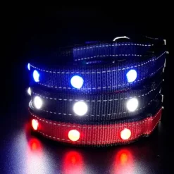 Hundehalsbånd|Løbeturen^Cotonshoppen SOLID LED-halsbånd OUTLET