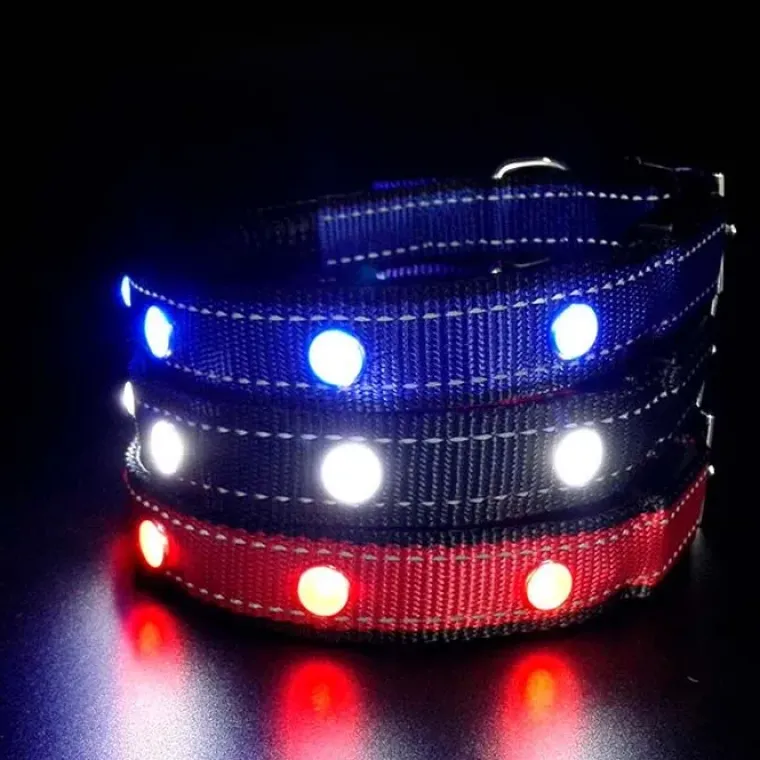 Hundehalsbånd|Løbeturen^Cotonshoppen SOLID LED-halsbånd OUTLET